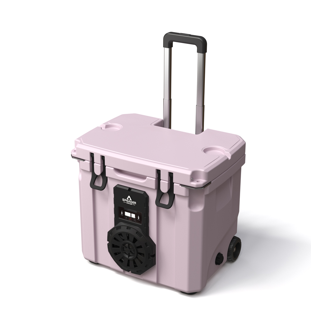 Borsa Frigo Portatile da 35L c - Wine & Beer Packages recensione e prezzo